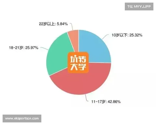 南非世界杯期间性工作者经济现象分析与赛事经济双刃剑效应研究 南非世界杯期间性工作者经济现象分析与赛事经济双刃剑效应研究