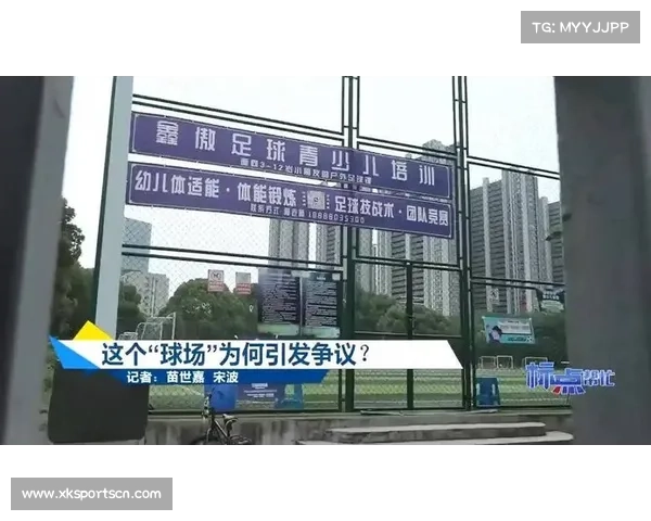 巴西环保署暂停亚马孙球场建设项目听证会 引发环境保护与发展争议